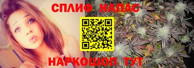 прущие грибы Кимры