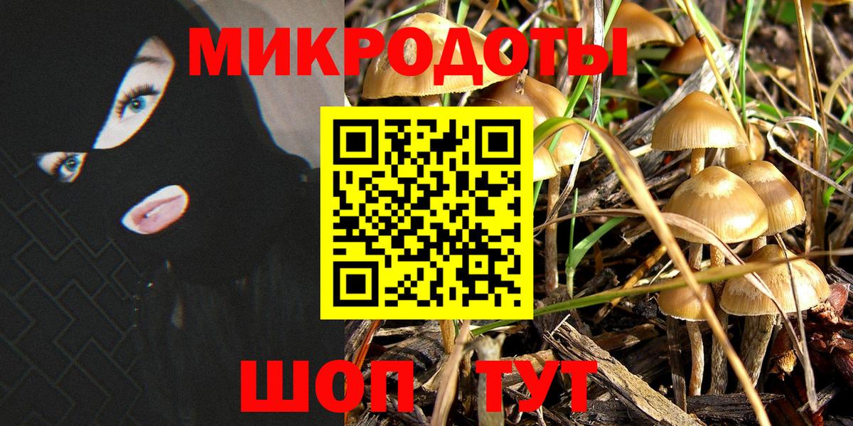 Псилоцибиновые грибы прущие грибы  Галлюциногенные грибы Cubensis  Вход с VPN  Арзамас 