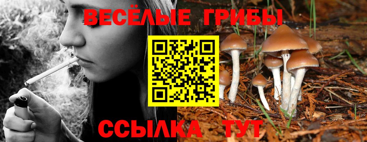Галлюциногенные грибы Cubensis Арзамас